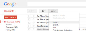 Google Contacts Import