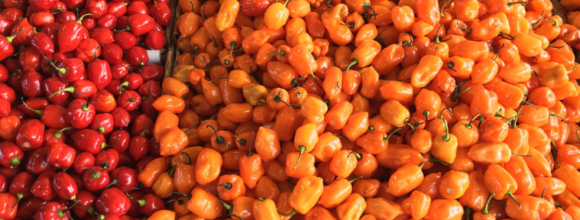 NC State Farmers Market