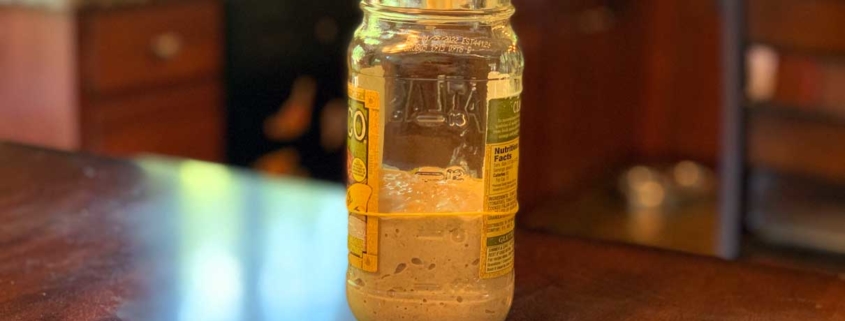 Sourdough starter success!