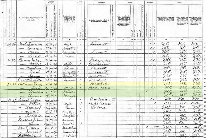 U.S. Census Record for Levy Williams